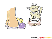 Katze wird gefuttert Cartoon, Clipart, Bild, Illustration