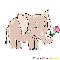 Kleiner Elefant Illustration, Clip Art, Bild, E-Card