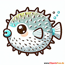 Kugelfisch Clipart