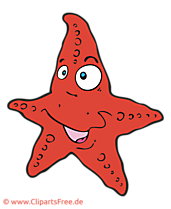 Meerstern Clipart, Bild, Cartoon, Grafik