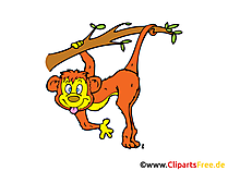 Monkey Clip Art, Image, Comic, Cartoon free