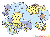 Ocean Meeresgrund Clipart