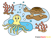 Oktopus im Wasser Clipart