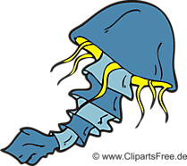 Qualle Clipart, Image, Bild, Illustration Qualle Clipart, Image, Bild, Illustration
