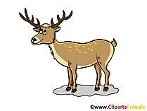 Rentier Clipart, Grafik, Illustration, Bild gratis