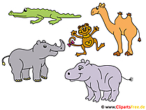 Safari Cartoons