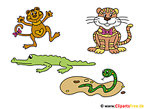Safari Clipart
