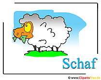 Schaf Cartoon Cliparts free
