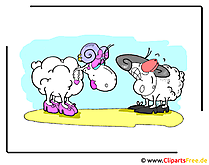 Schafe Cartoon kostenlos