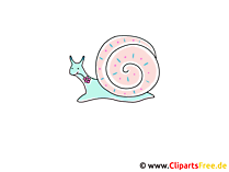 Schnecke Clipart