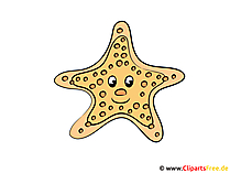 Seestern Clip Art