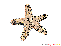 Seesterne Nordsee Clipart