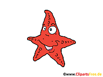 Starfish Clip Art, Image, Pic free