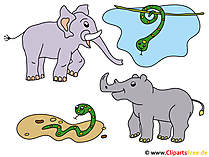 Tiere Afrikas Bilder