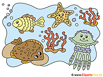 Unterwasserwelt Bild