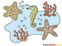 Unterwasserwelt Clipart