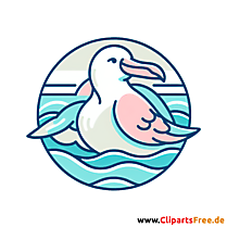 Albatros Clipart - Bilder zum Thema Vögel