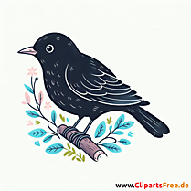 Amsel Clipart - Bilder zum Thema Vögel