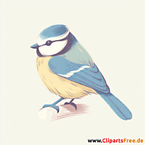Blaumeise Clipart - Bilder zum Thema Vögel