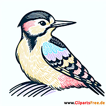 Buntspecht Clipart - Bilder zum Thema Vögel