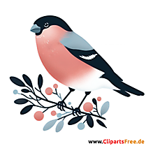 Dompfaff Clipart - Bilder zum Thema Vögel