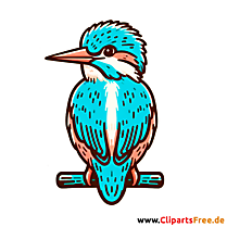Eisvogel Clipart - Bilder zum Thema Vögel