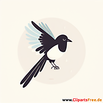 Elster Clipart - Bilder zum Thema Vögel