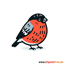 Gimpel Clipart, Bild, Illustration