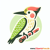 Grünspecht Clipart - Bilder zum Thema Vögel