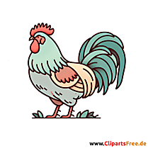 Hahn Clipart - Bilder zum Thema Vögel