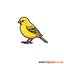 Kanarienvogel Clipart - Bilder zum Thema Vögel