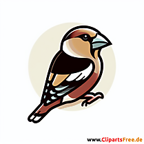 Kernbeißer Clipart - Bilder zum Thema Vögel