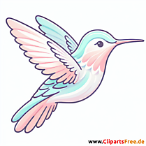Kolibri Clipart - Bilder zum Thema Vögel