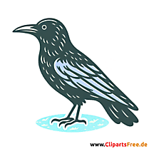 Krähe Clip Art - Bilder zum Thema Vögel