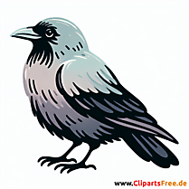 Krähe Clipart - Bilder zum Thema Vögel
