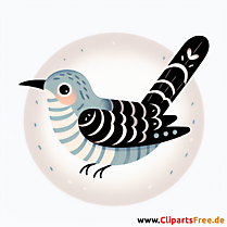 Kuckuck Clipart - Bilder zum Thema Vögel