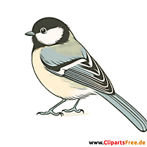 Meise Clip Art - Bilder zum Thema Vögel