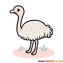 Nandu Clipart - Bilder zum Thema Vögel