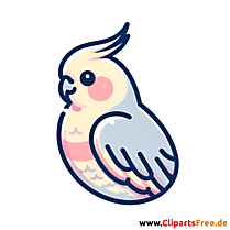 Nymphensittich Clipart - Bilder zum Thema Vögel