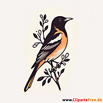 Pirol Clipart - Bilder zum Thema Vögel