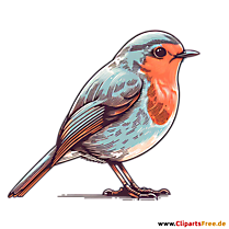 Rotkehlchen Clipart - Bilder zum Thema Vögel