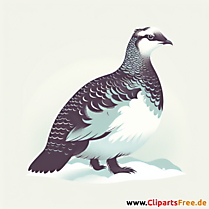 Schneehuhn Clipart - Bilder zum Thema Vögel