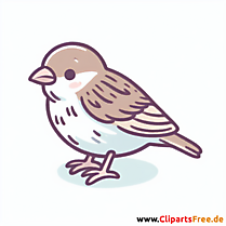 Spatz Clip Art - Bilder zum Thema Vögel