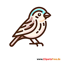 Sperling Clipart - Bilder zum Thema Vögel