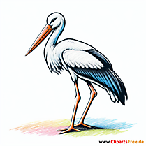 Storch Clipart