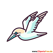 Tölpel Clipart - Bilder zum Thema Vögel