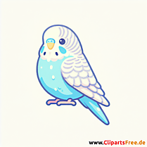 Wellensittich Clipart - Bilder zum Thema Vögel