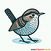 Zaunkönig Clipart - Bilder zum Thema Vögel