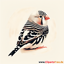 Zebrafink Clipart - Bilder zum Thema Vögel