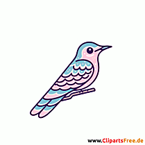 Ziegenmelker Clipart - Bilder zum Thema Vögel